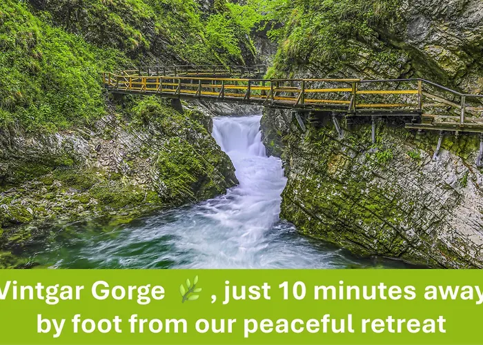Apartment Valy - Free Bikes, Relaxing Terrace & Near Bled