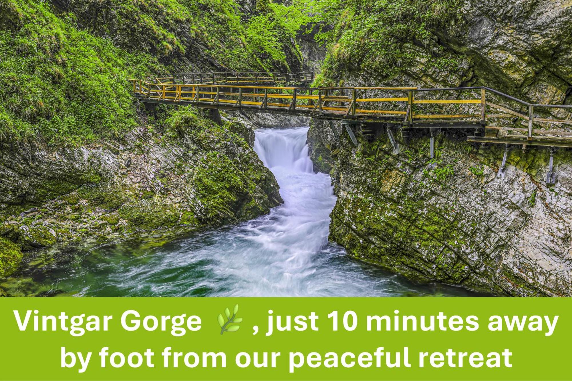 Valy - Free Bikes, Relaxing Terrace & Near Apartment Bled