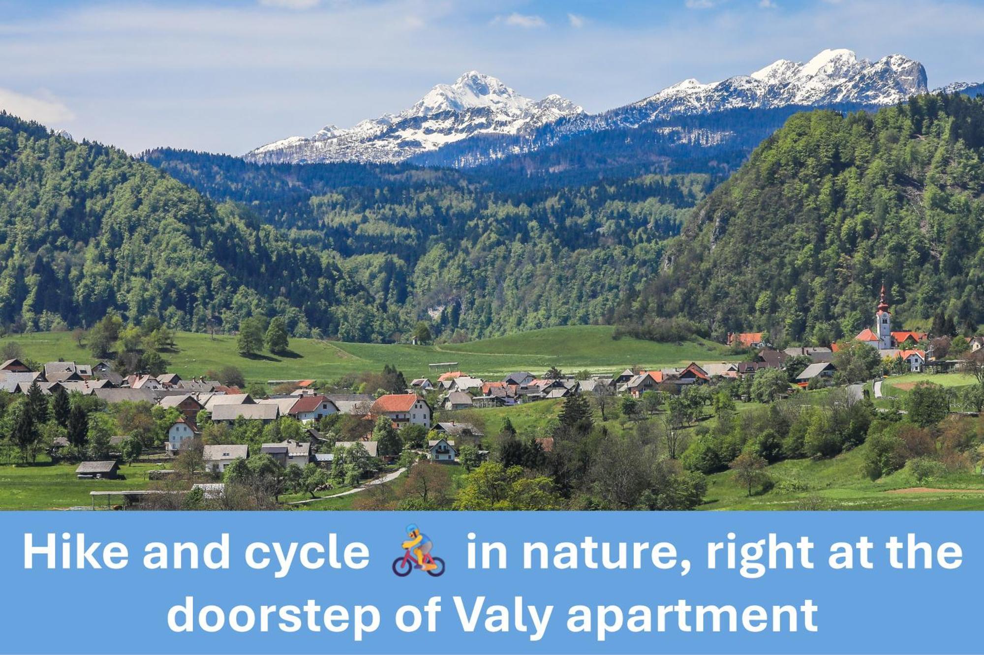 Apartament Valy - Free Bikes, Relaxing Terrace & Near Bled